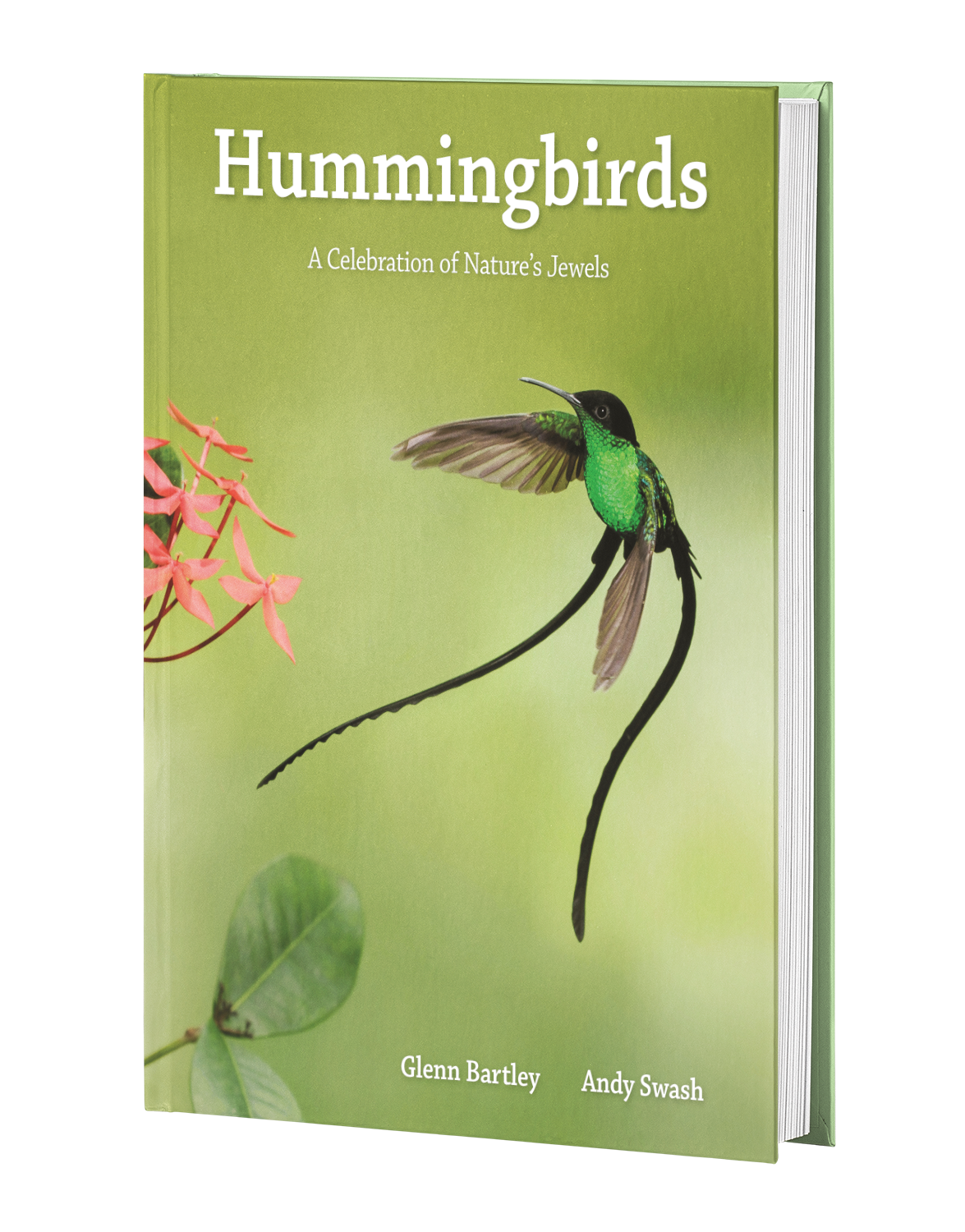Book Hummingbirds