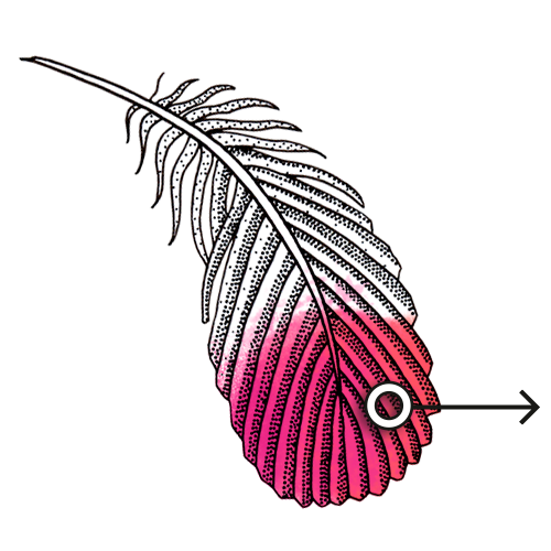 humingbird feather