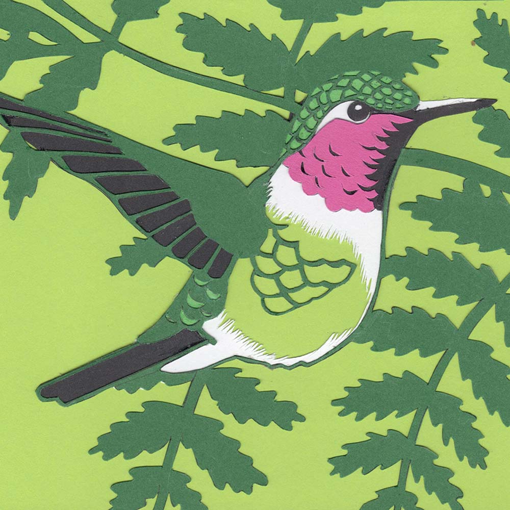 papercut illustration Amethyst woodstar hummingbird Jeanne Melchels