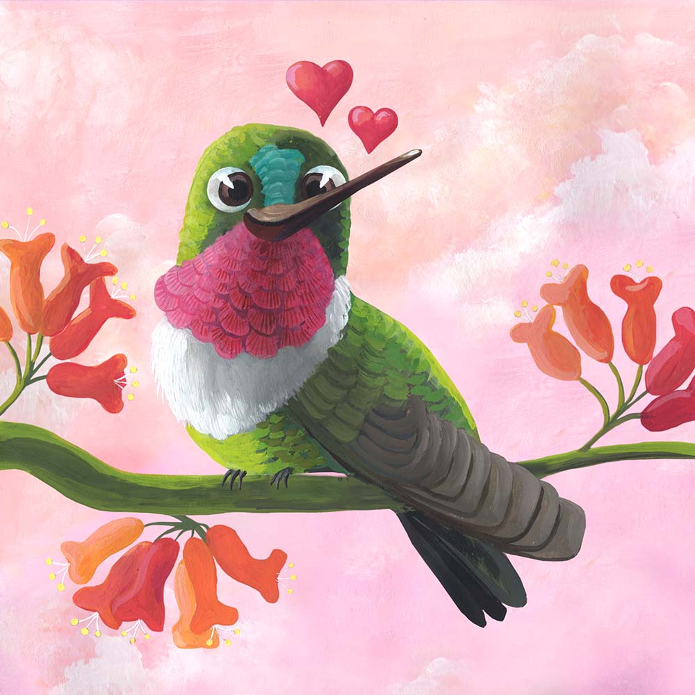 gouache illustration Amethyst-throated Sunangel Hummingbird Jeanne Melchels