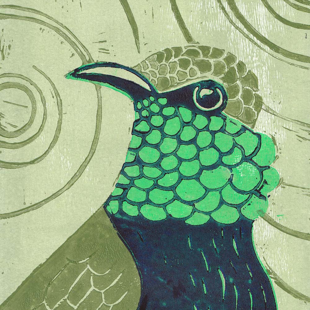 lino print illustration Black-breasted Hillstar Hummingbird Jeanne Melchels