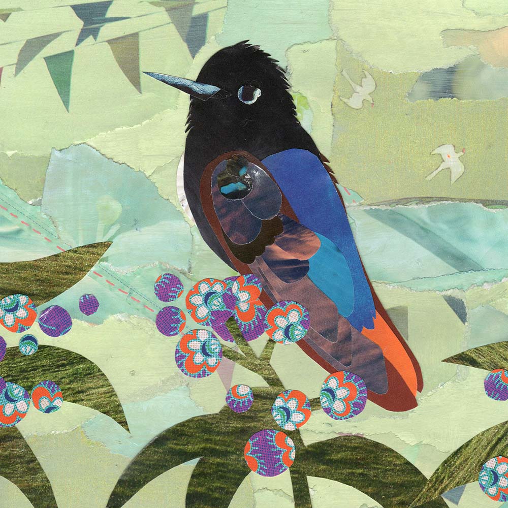 collage illustration Black-hooded sunbeam hummingbird Jeanne Melchels