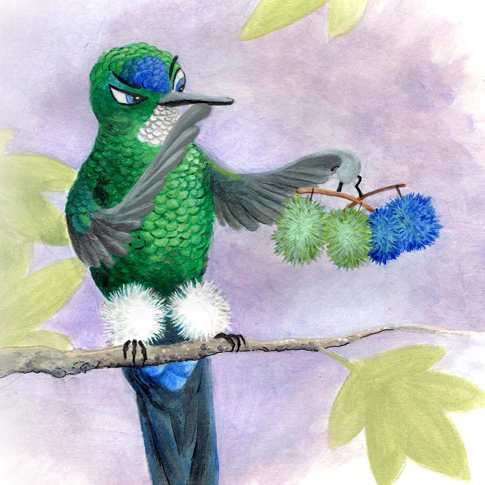 illustration acryl paint Blue-capped Puffleg Hummingbird Jeanne Melchels