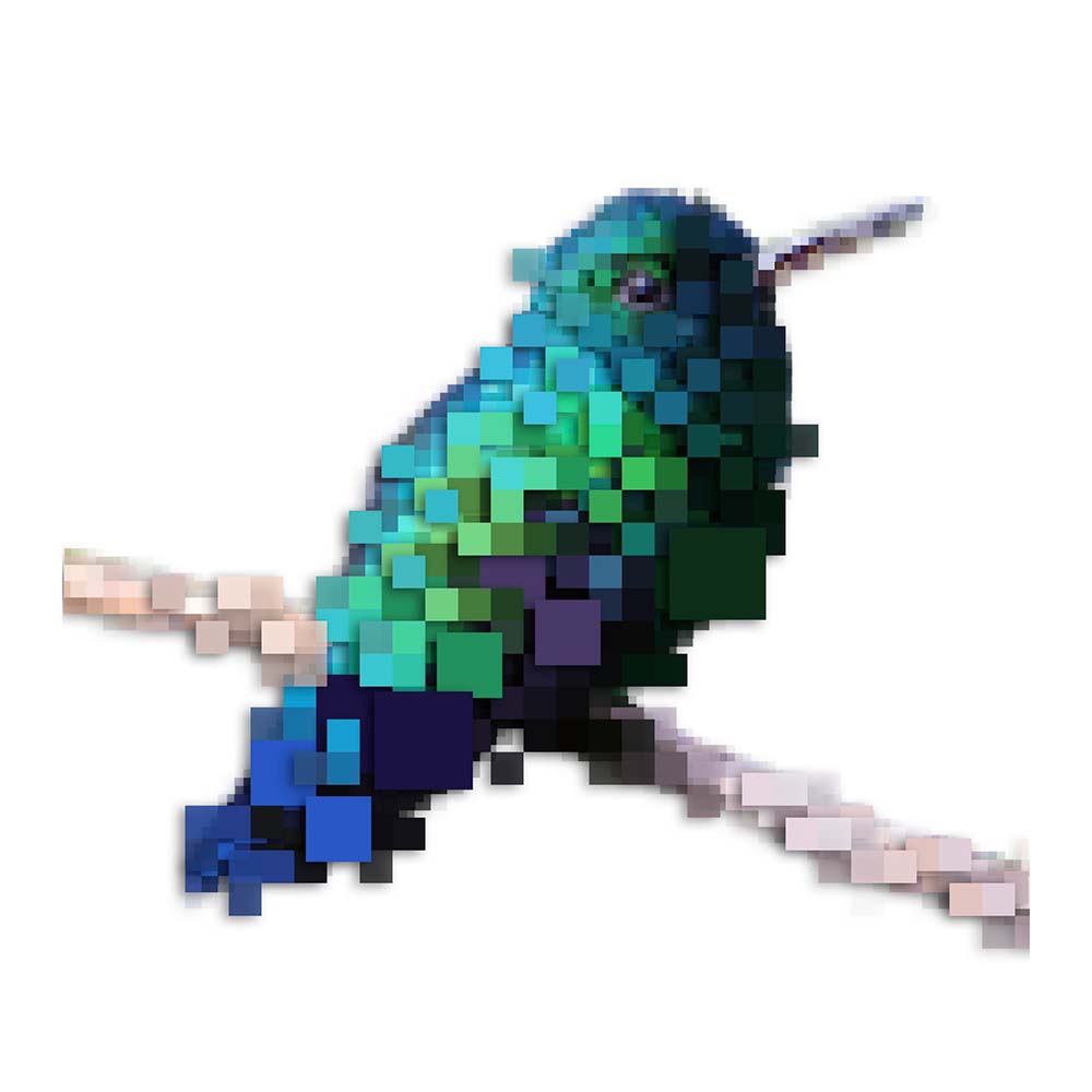 digital photoshop pixel illustration Blue-tailed emerald hummingbird Jeanne Melchels