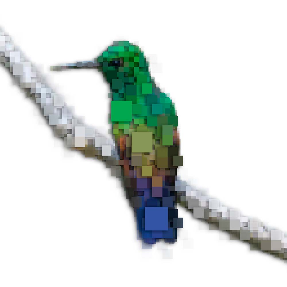 digital photoshop pixel illustration Blue-tailed hummingbird Jeanne Melchels