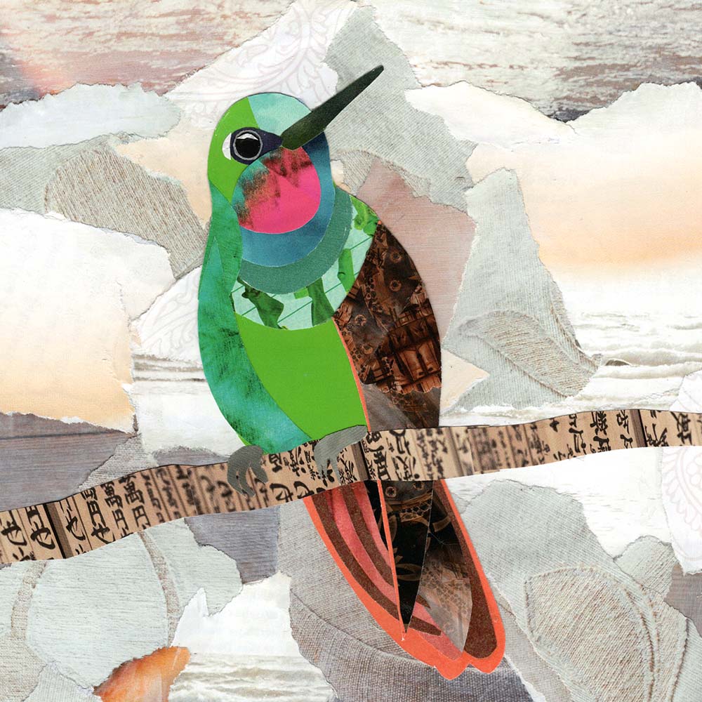 collage illustration Brazilian ruby Hummingbird Jeanne Melchels