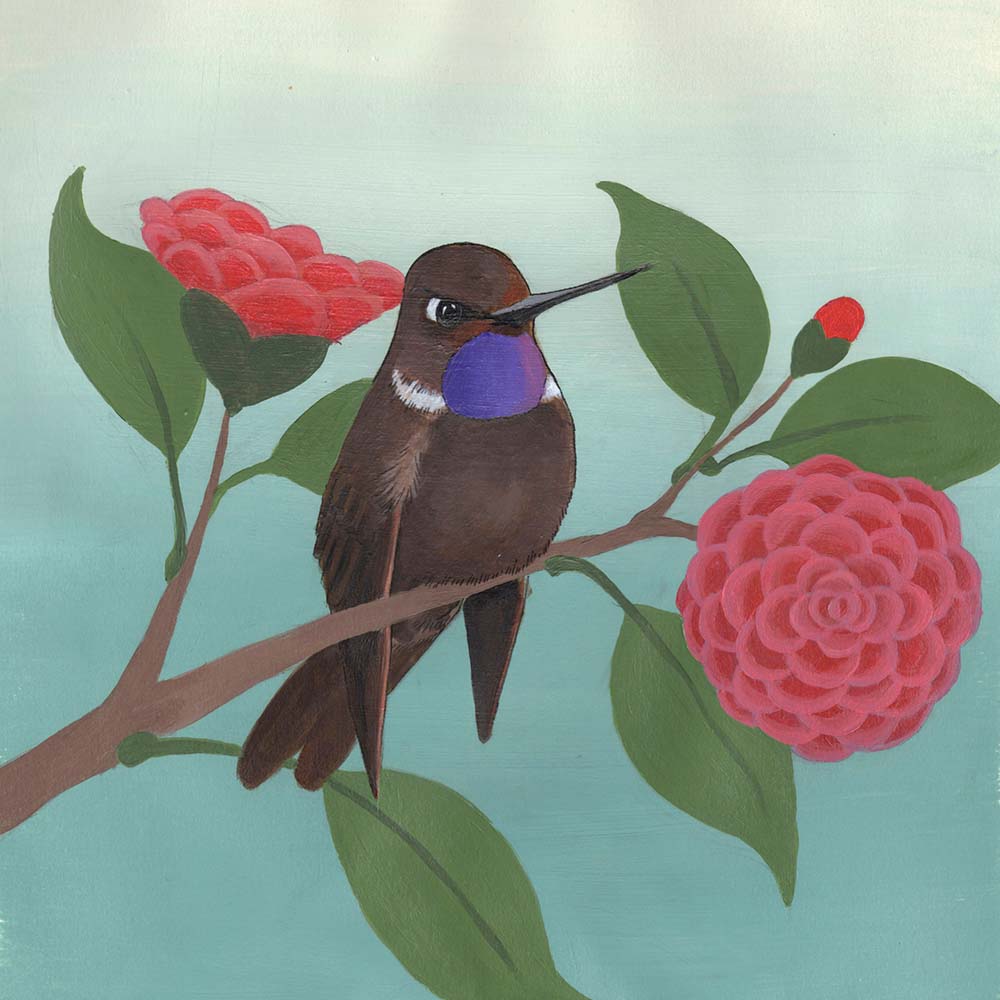 acryl paint illustration Brown Inca Hummingbird Jeanne Melchels