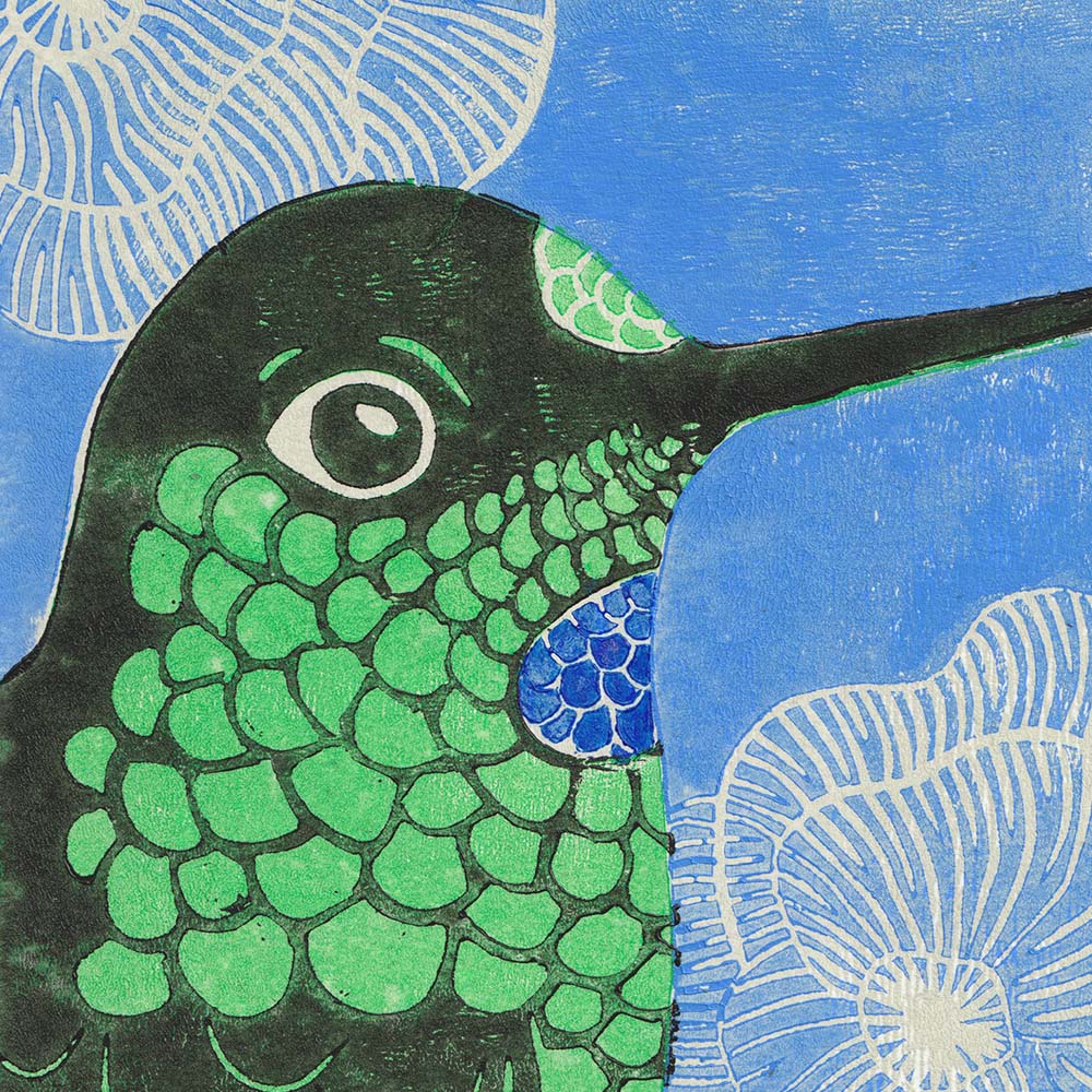 lino print illustration Buff-winged Starfrontlet Hummingbird Jeanne Melchels