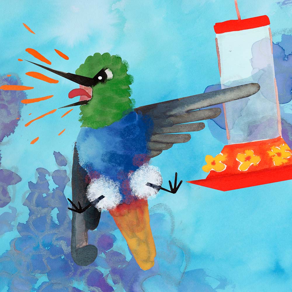 mixed media illustration Colorful puffleg hummingbird Jeanne Melchels