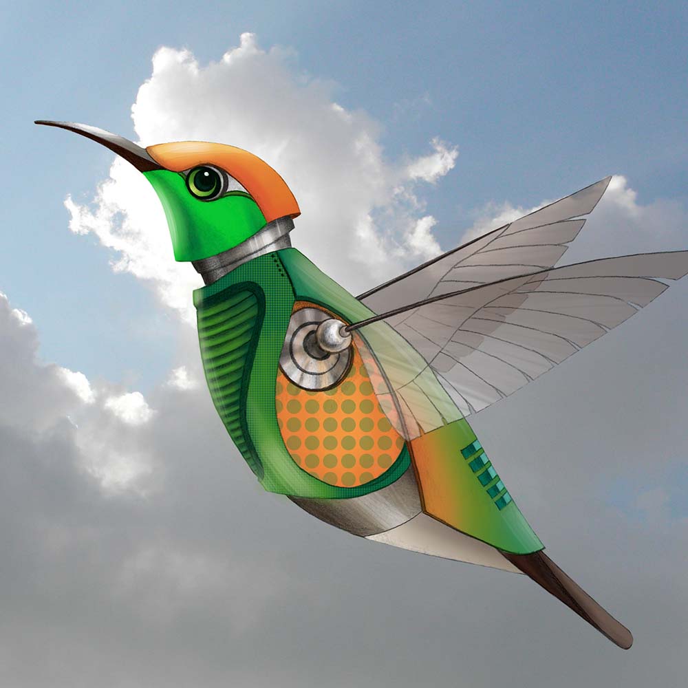 digital procreate illustration Coppery-headed emerald hummingbird Jeanne Melchels