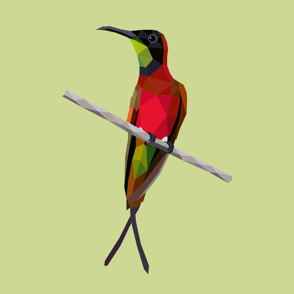 digital illustration Crimson topaz hummingbird Jeanne Melchels