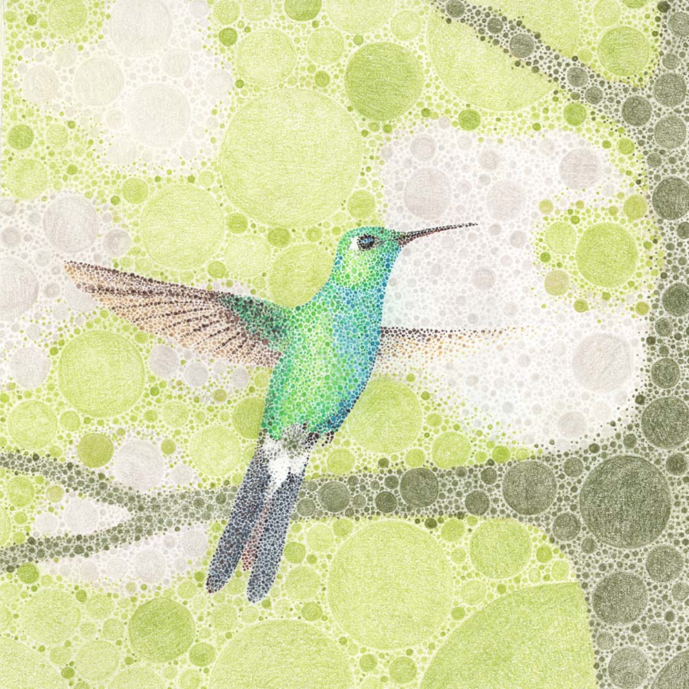pointilism illustration Cuban Emerald Hummingbird Jeanne Melchels