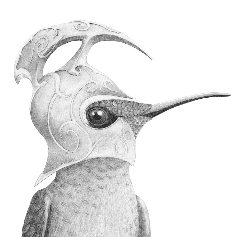 pencil portrait illustration Fawn-breasted Brilliant Hummingbird Middle Earth High Elven helmet Lord of the Rings Jeanne Melchels