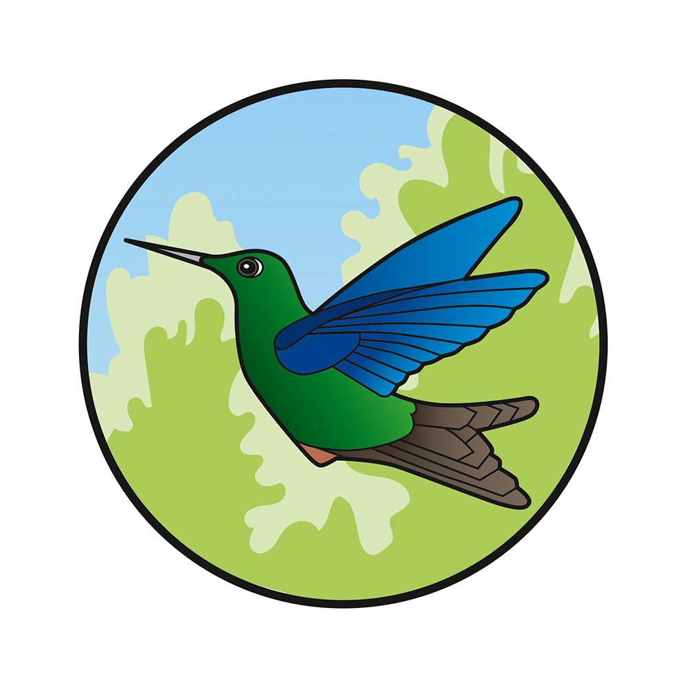 digital icon illustration Great Sapphirewing Hummingbird Jeanne Melchels