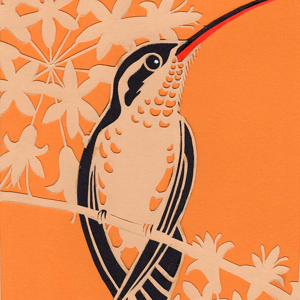 papercut illustration Great-billed Hermit Hummingbird Jeanne Melchels