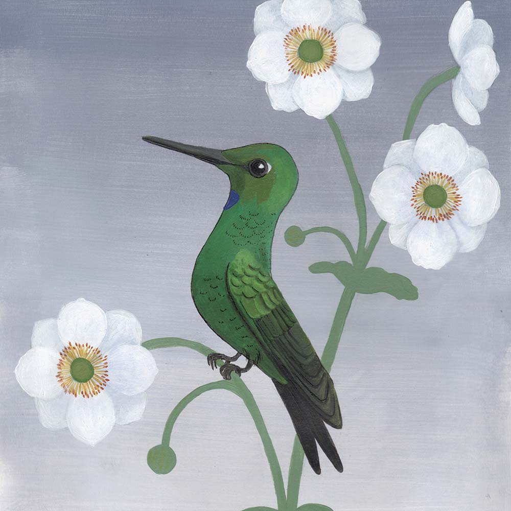 acryl paint illustration Green-crowned Brilliant Hummingbird Jeanne Melchels