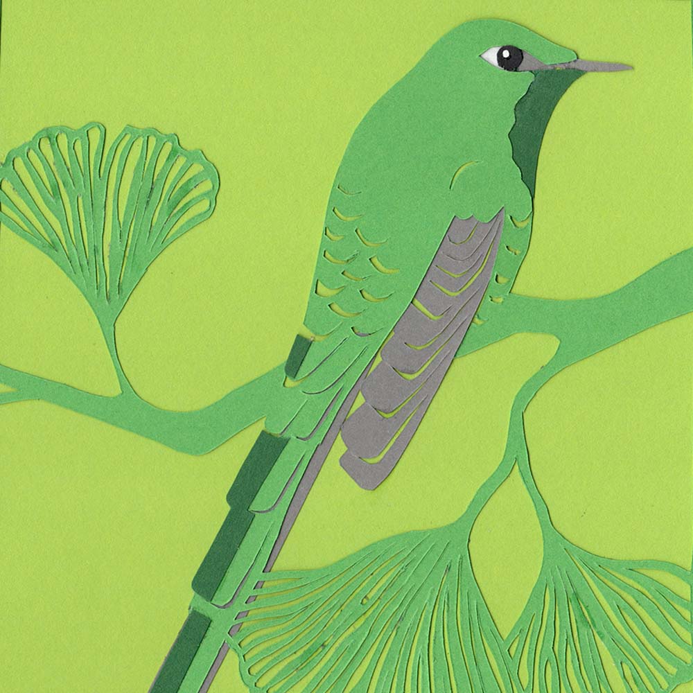 papercut illustration Green-tailed trainbearer hummingbird Jeanne Melchels