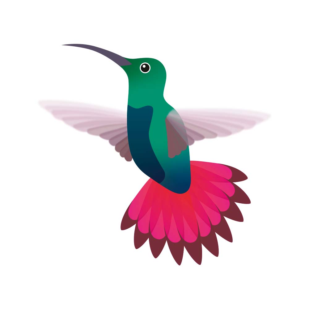 digital icon illustration Green-throated Mango Hummingbird Jeanne Melchels