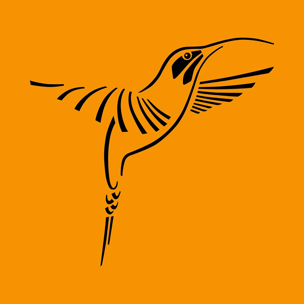 digital tattoo illustration Long-tailed hermit hummingbird Jeanne Melchels