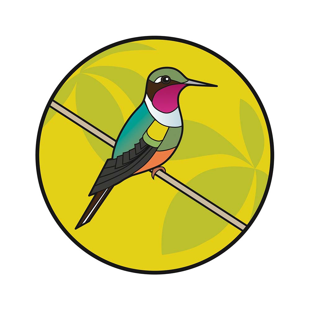digital icon illustration Magenta-throated Woodstar Hummingbird Jeanne Melchels