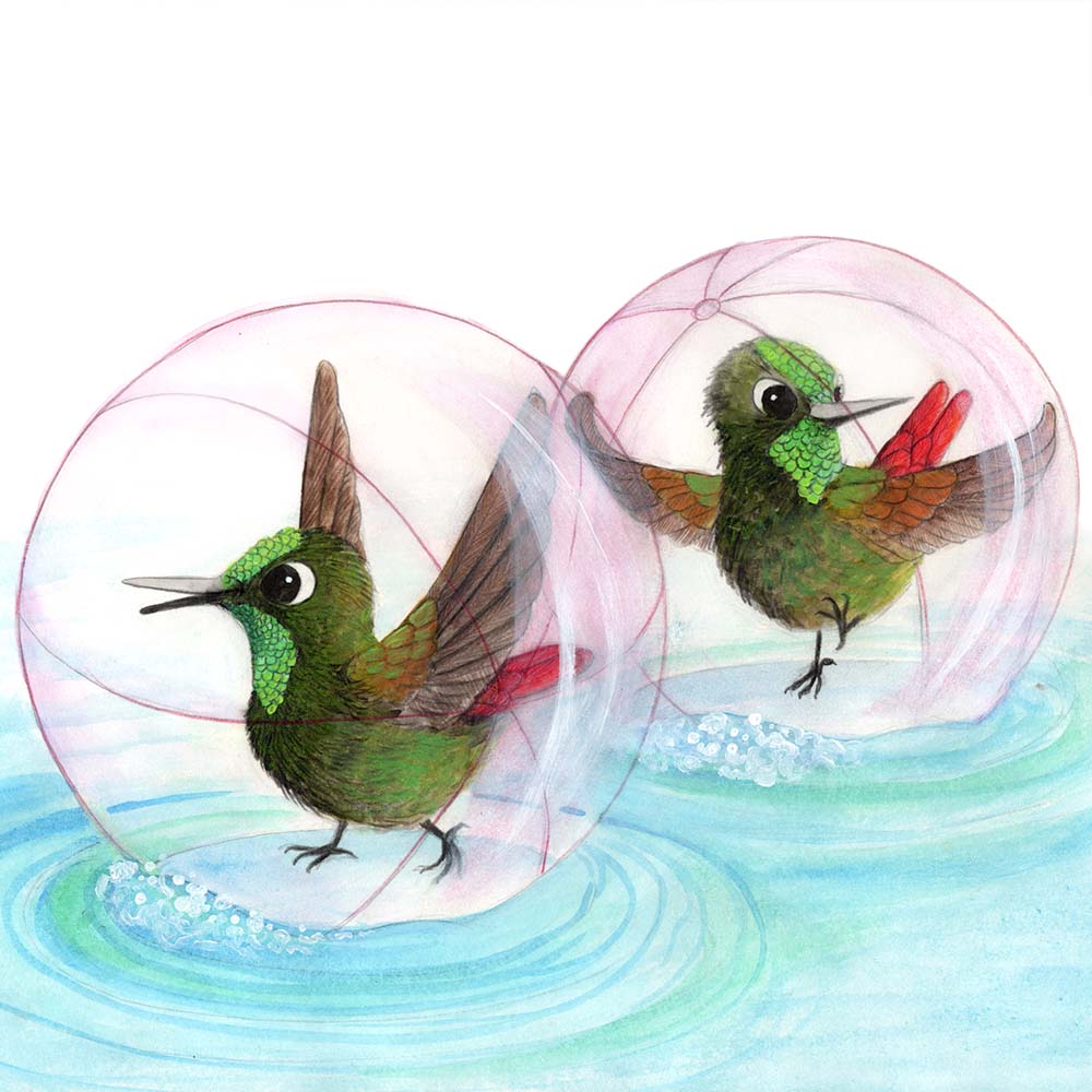 mixed media illustration Perija metaltail hummingbird Jeanne Melchels