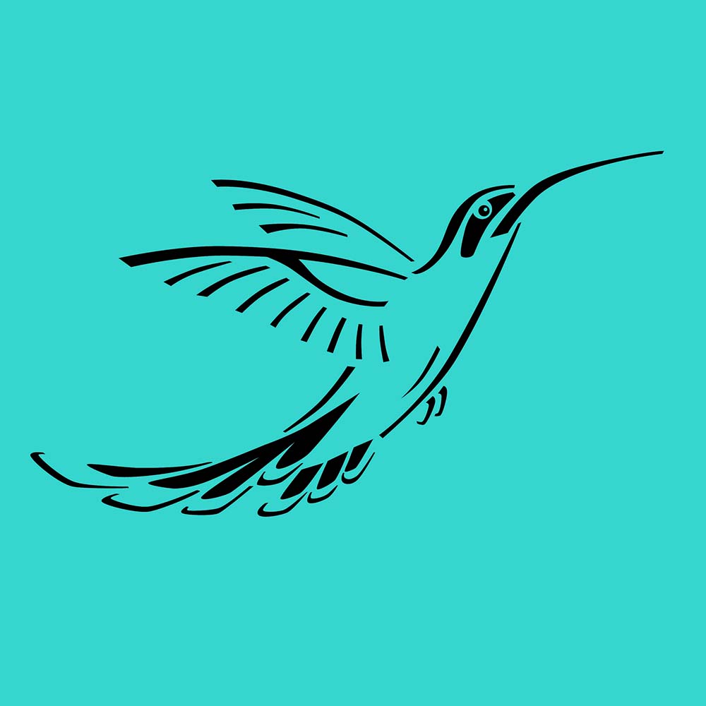 digital tattoo illustration Planalto hermit hummingbird Jeanne Melchels