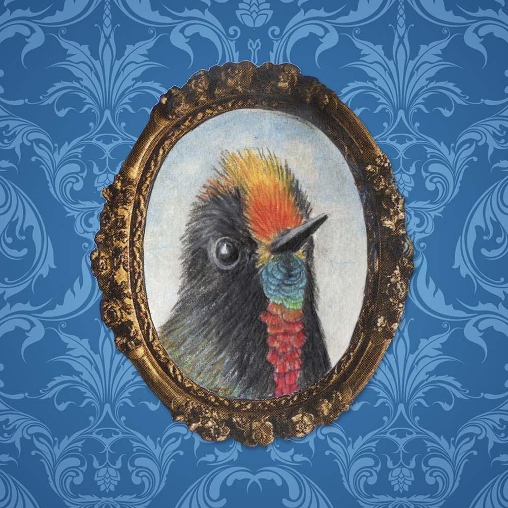 mixed media miniature illustration Rainbow-bearded thornbill hummingbird Jeanne Melchels