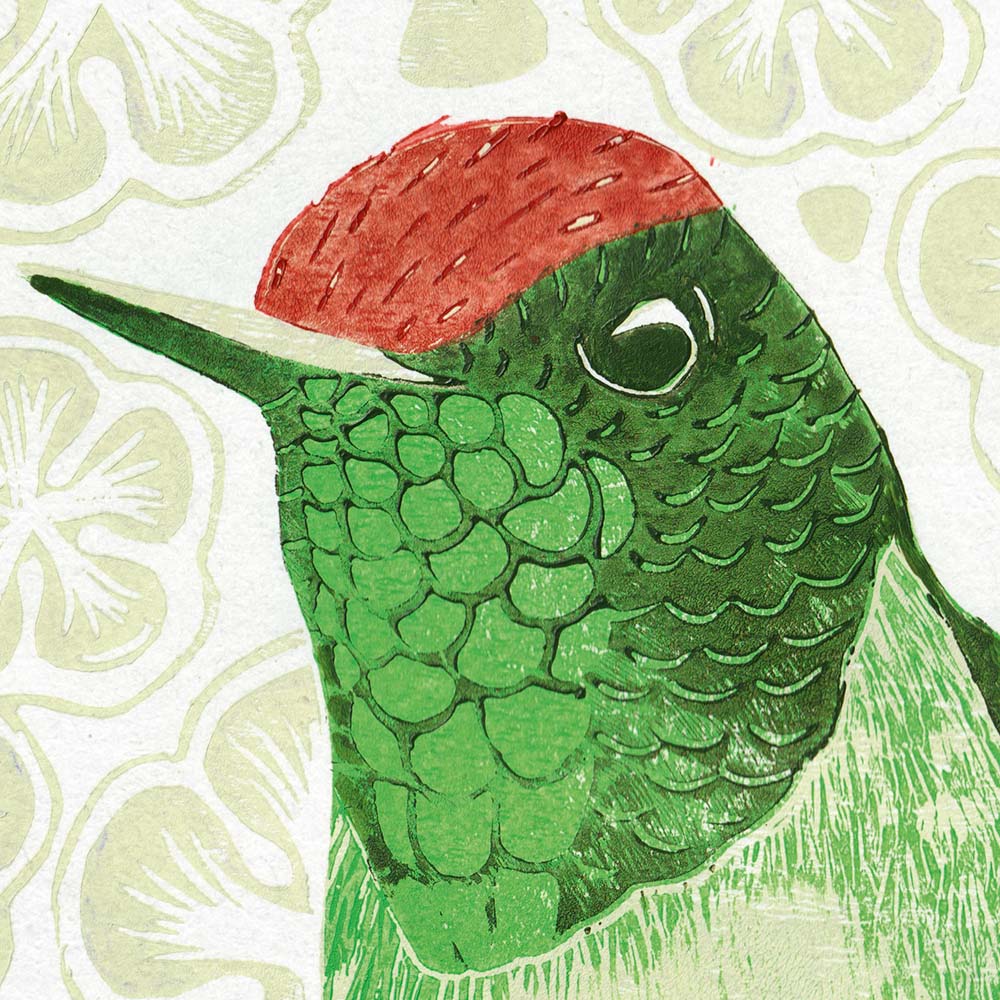 lino print illustration Rufous-capped Thornbill Hummingbird Jeanne Melchels