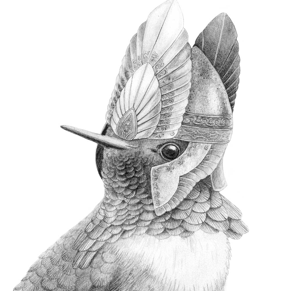 pencil portrait illustration Scintilliant Hummingbird Middle Earth Elendil helmet Jeanne Melchels