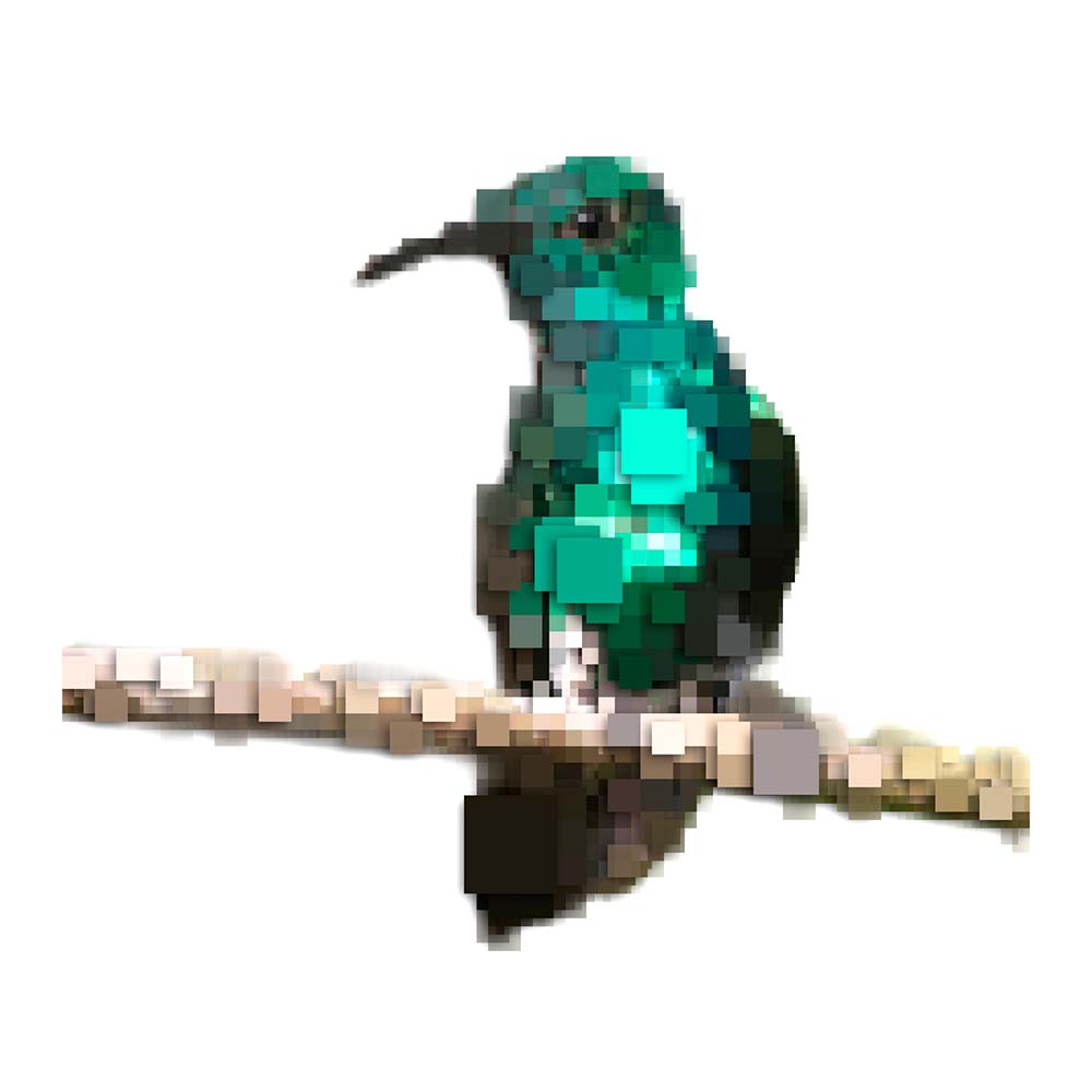 digital photoshop pixel illustration Shining-green hummingbird Jeanne Melchels