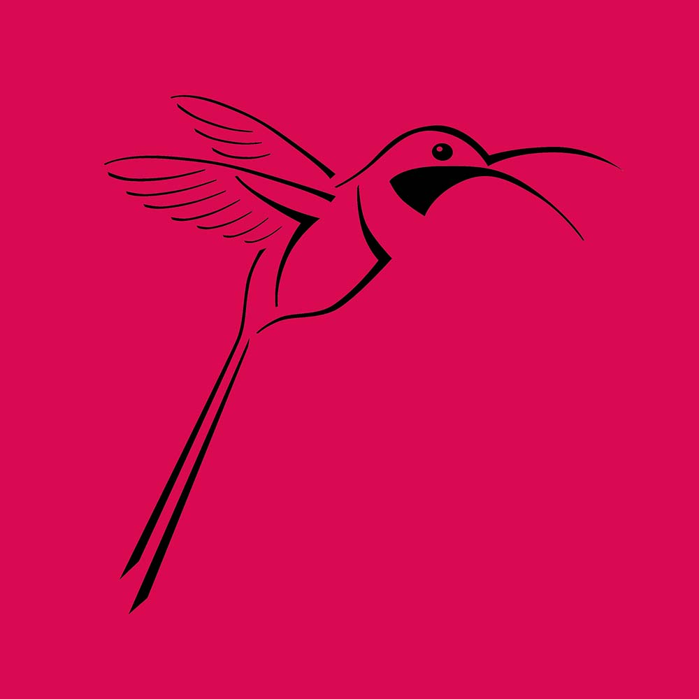 digital tattoo illustration Slender-sheartail Hummingbird Jeanne Melchels