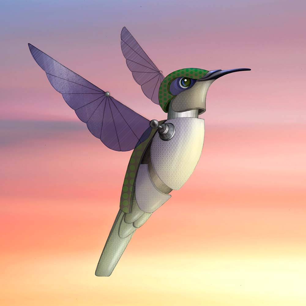 digital procreate illustration Sombre hummingbird Jeanne Melchels