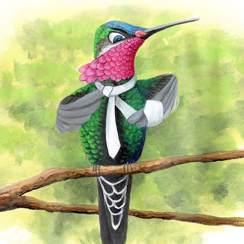illustration acryl paint Stripe-breasted starthroat Hummingbird Jeanne Melchels