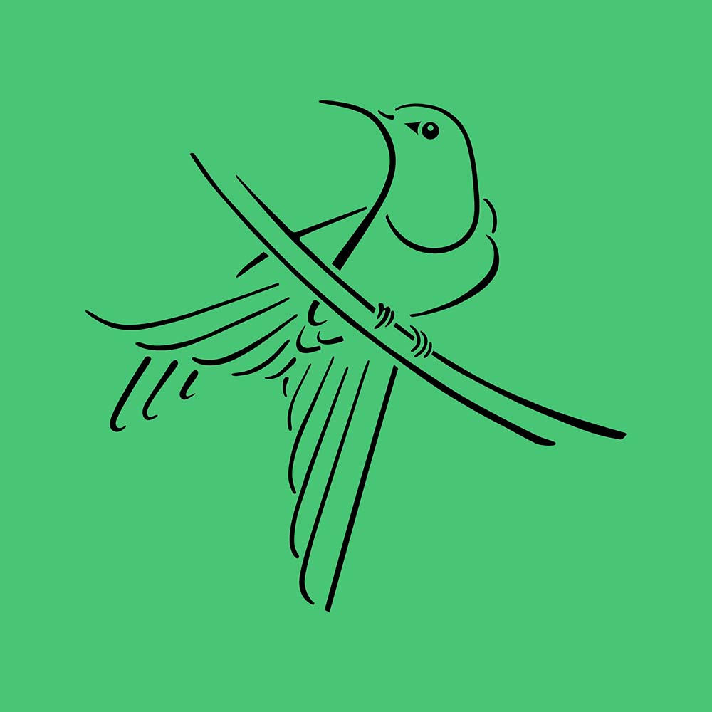 digital tattoo illustration Swallow-tailed Hummingbird Jeanne Melchels
