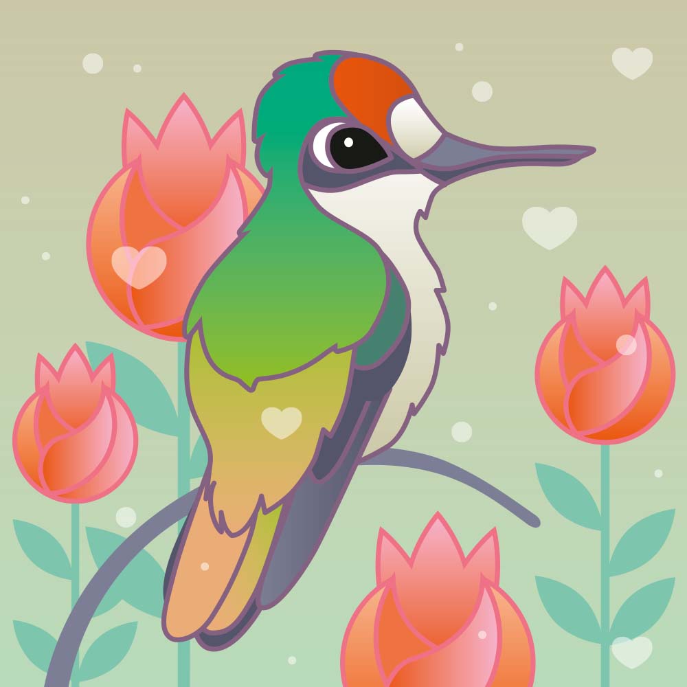  digital illustration kawaii style Tolima Blossom Crown Hummingbird Jeanne Melchels