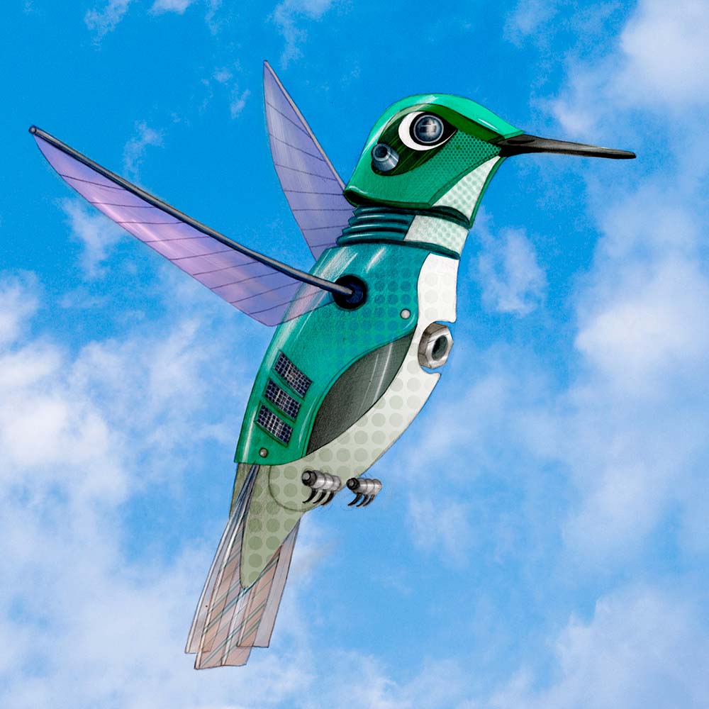 digital procreate illustration Versicolor emerald Hummingbird Jeanne Melchels