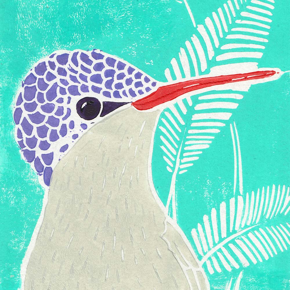 lino print illustration Violet-crowned Hummingbird Jeanne Melchels