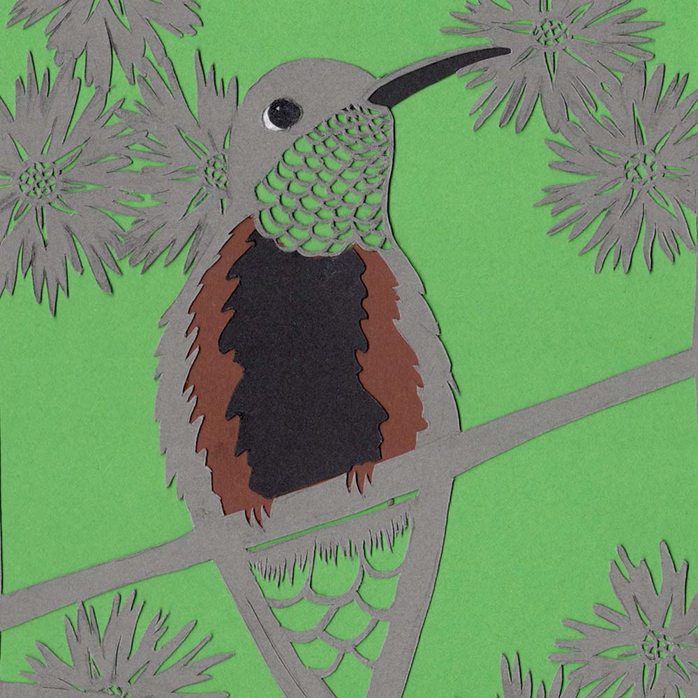 papercut illustration Wedge-tailed Hillstar Hummingbird Jeanne Melchels
