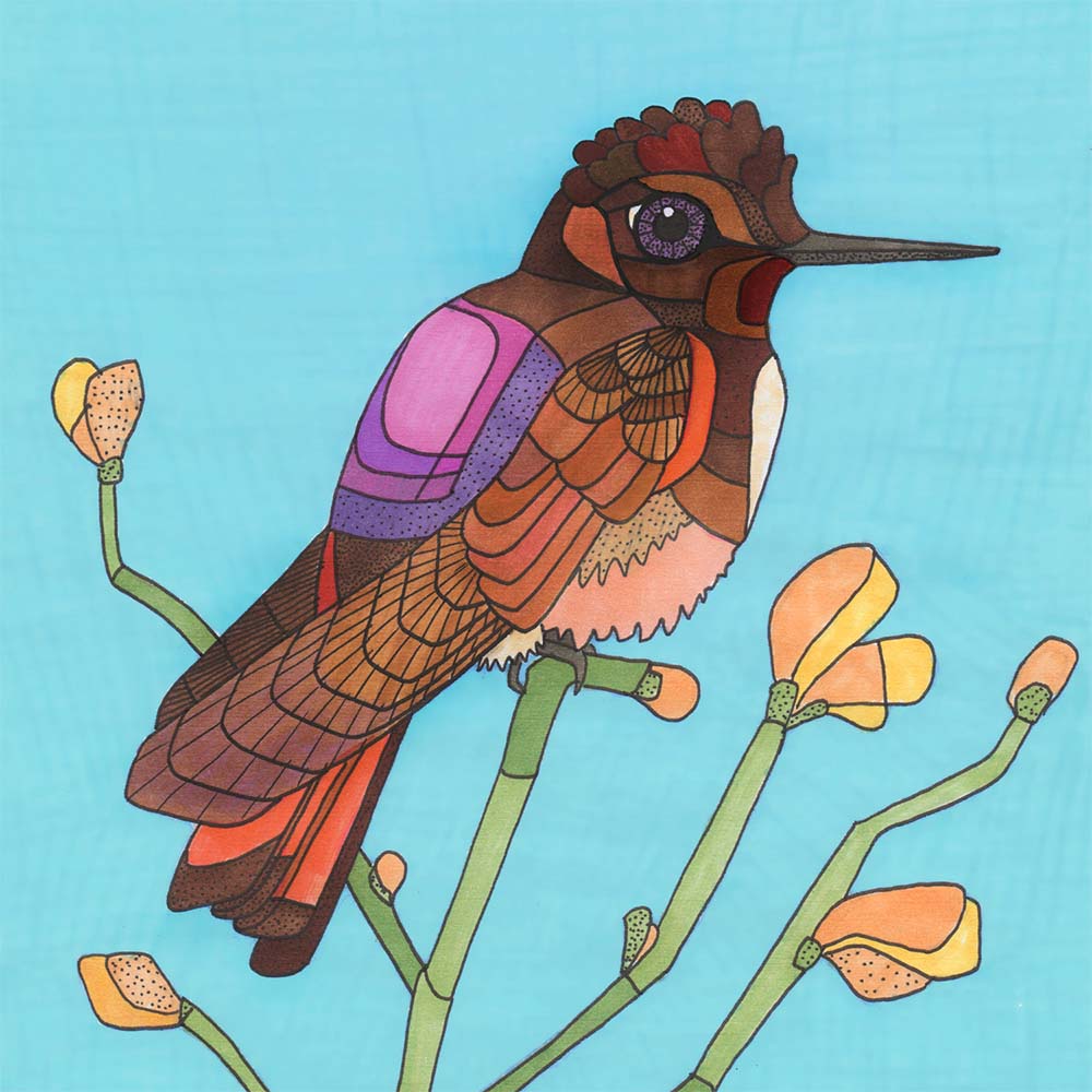 marker illustration White-tufted sunbeam hummingbird Jeanne Melchels