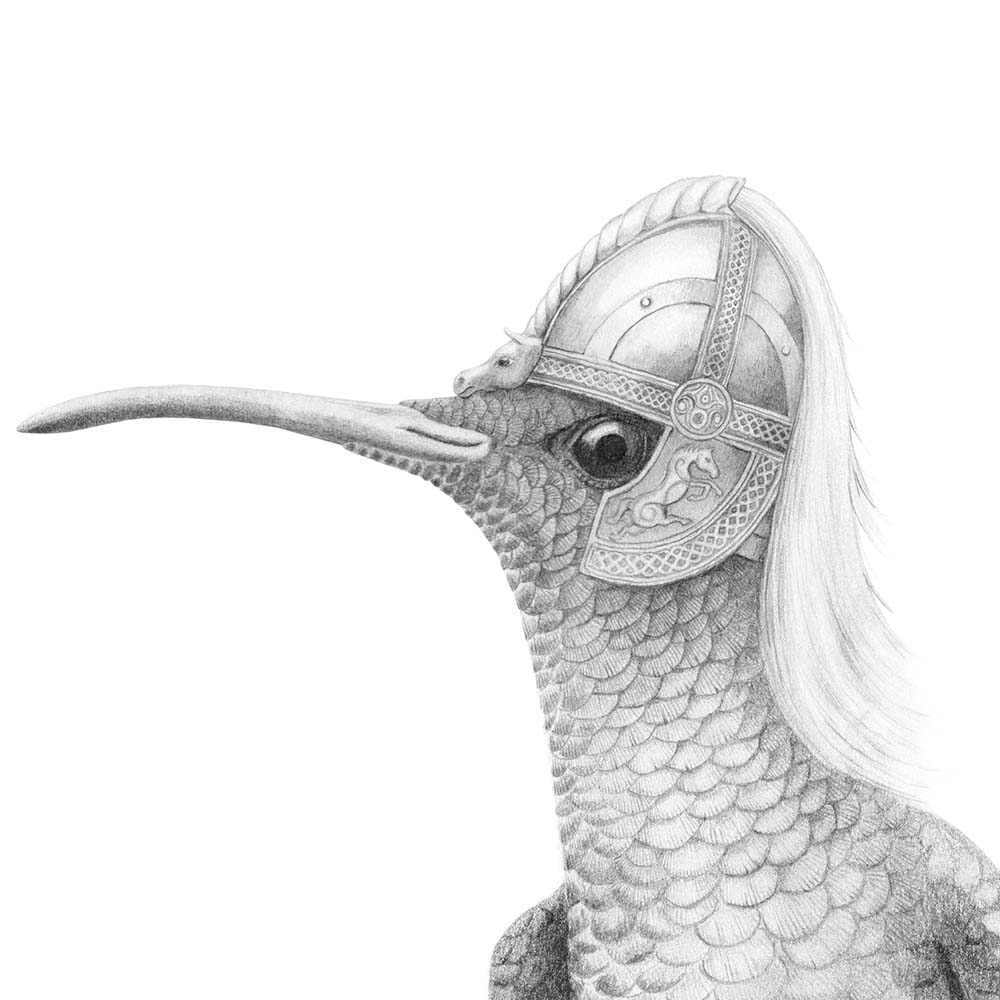 pencil portrait illustration White-vented Plumeleteer Hummingbird Middle Earth Eomer helmet Jeanne Melchels