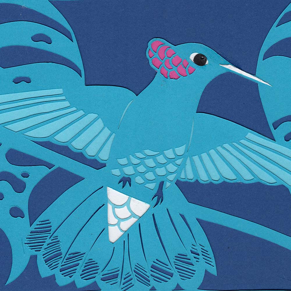 papercut illustration White-vented Violet-ear Hummingbird Jeanne Melchels