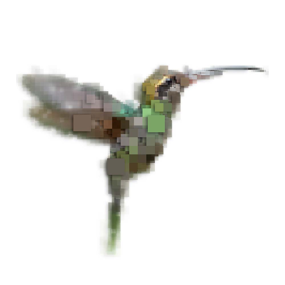 digital photoshop pixel illustration White-whiskered hermit hummingbird Jeanne Melchels
